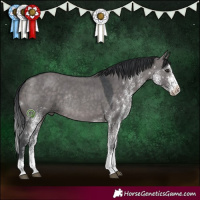 Horse Color:Platinum White Spotted Brown Dun Tobiano Rabicano 