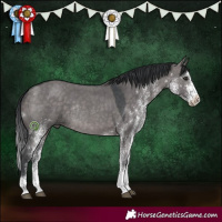 Horse Color:Platinum White Spotted Brown Dun Tobiano Rabicano 