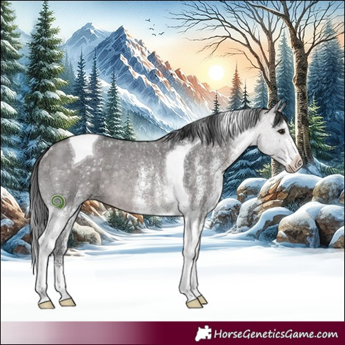 Horse Color:Platinum White Spotted Brown Dun Tobiano Rabicano