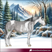 Horse Color:Platinum White Spotted Brown Dun Tobiano Rabicano 
