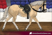 Horse Color:Palomino