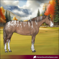 Horse Color:Powder White Liver Red Dun 