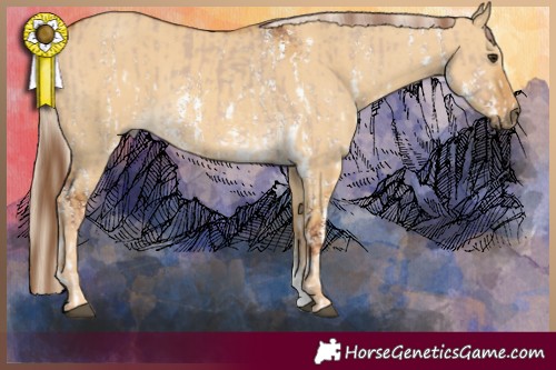Horse Color:Red Dun Sabino and Palomino Dun Sabino