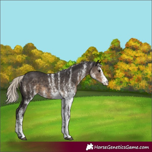 Horse Color:White Spotted Silver Smoky Black 