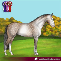 Horse Color:Gray Amber Champagne Sabino Rabicano 