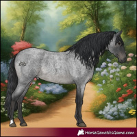 Horse Color:Blue Roan 
