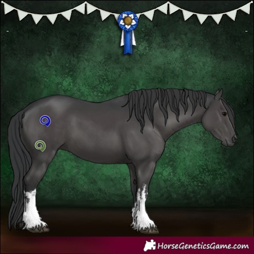 Horse Color:White Spotted Black