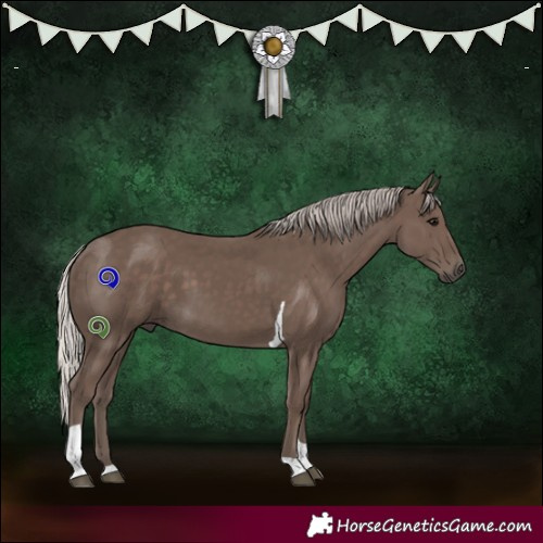 Horse Color:Silver Black Tobiano Rabicano 