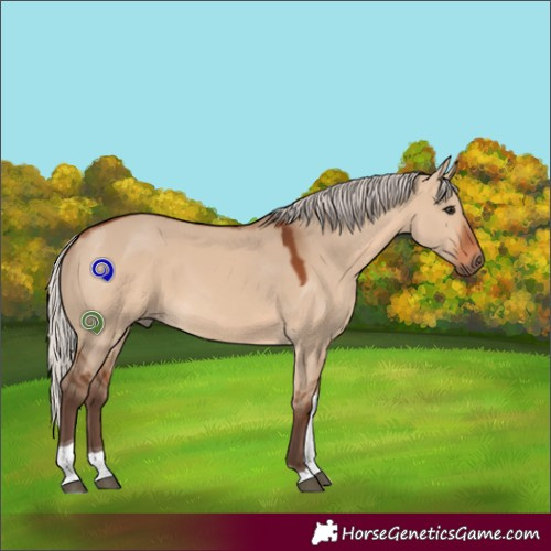 Horse Color:Silver Brown Dun Tobiano Rabicano