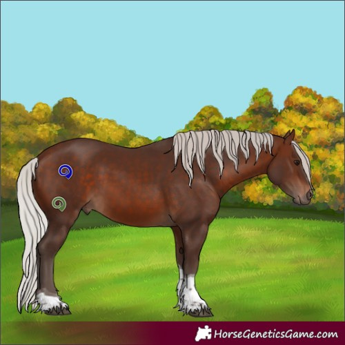 Horse Color:Silver Brown Tobiano Rabicano