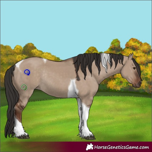 Horse Color:Liver Red Dun Tobiano Rabicano 