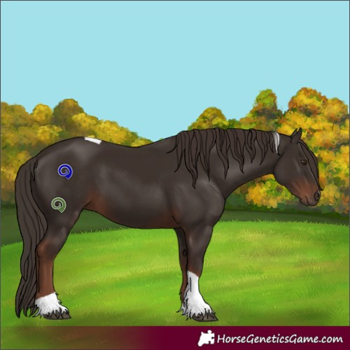 Horse Color:Liver Chestnut Tobiano 