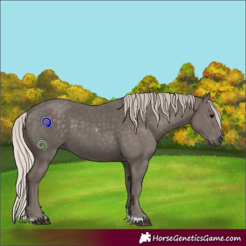 Horse Color:Silver Black Tobiano Rabicano 