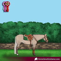 Horse Color:Silver Brown Dun 
