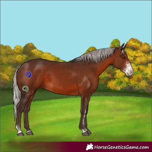 Horse Color:Silver Brown Sabino 