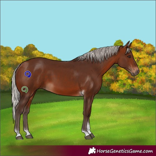 Horse Color:Silver Bay Tobiano