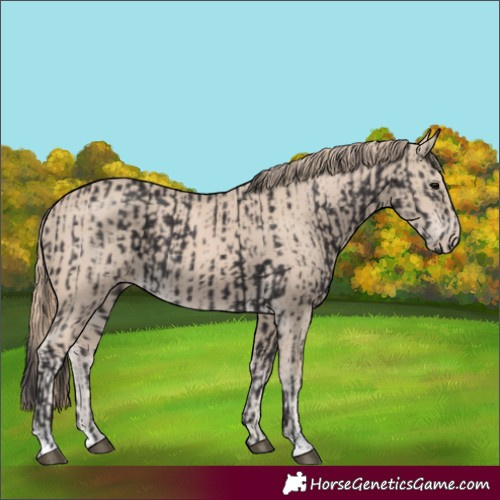 Horse Color:Smoky Black  and Smoky Creme 