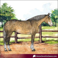 Horse Color:White Spotted Silver Buckskin Dun Brindle