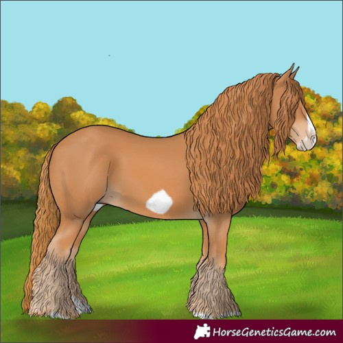 Horse Color:Chestnut Splash Frame 