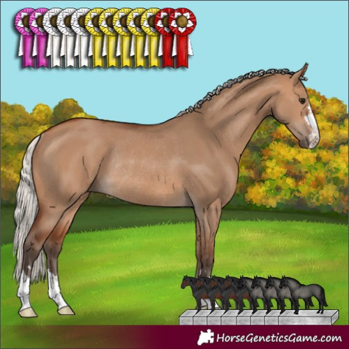Horse Color:Silver Brown Dun Rabicano 