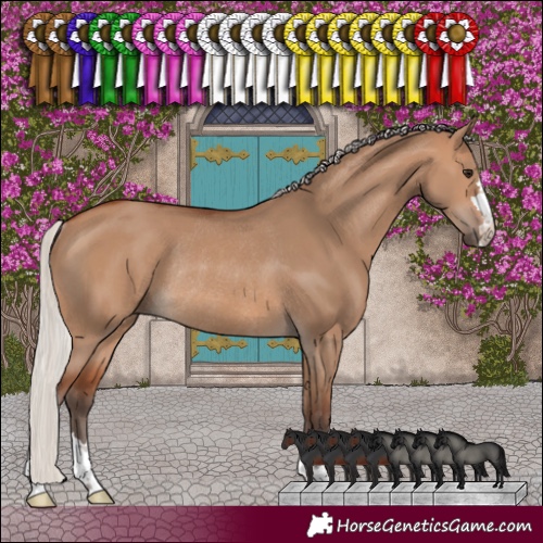Horse Color:Silver Brown Dun Rabicano 