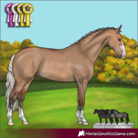 Horse Color:Silver Brown Dun Rabicano 