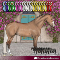 Horse Color:Silver Brown Dun Rabicano 