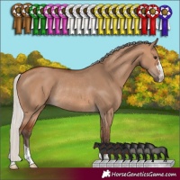 Horse Color:Silver Brown Dun Rabicano