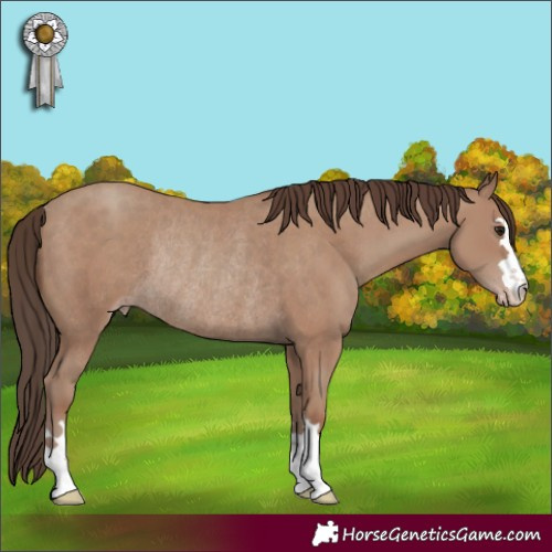 Horse Color:Classic Champagne Rabicano 