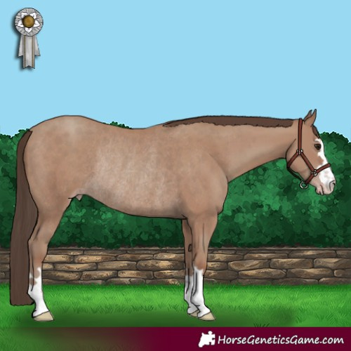 Horse Color:Classic Champagne Rabicano