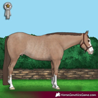 Horse Color:Classic Champagne Rabicano 