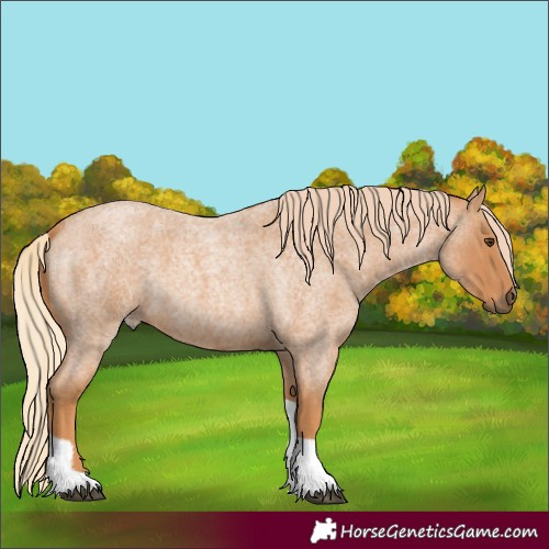 Horse Color:Red Roan Tobiano