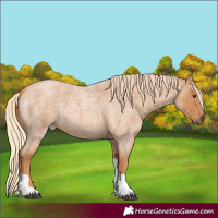 Horse Color:Red Roan Tobiano 