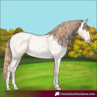 Horse Color:Amber Cream Champagne Roan Pearl Sabino