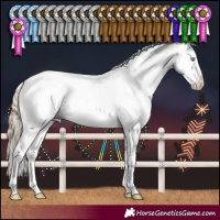 Horse Color:Perlino Dun Mushroom Sabino Splash 