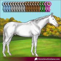 Horse Color:Perlino Dun Mushroom Sabino Splash