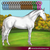 Horse Color:Perlino Dun Mushroom Sabino Splash