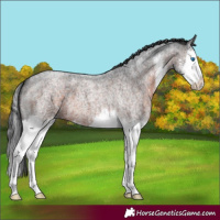 Horse Color:Brown Roan Mushroom Sabino Splash