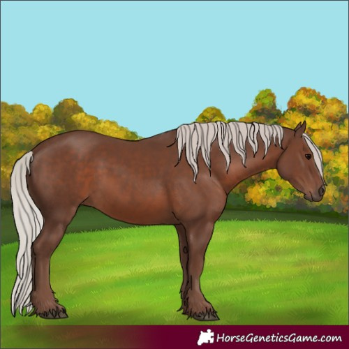 Horse Color:Silver Black 