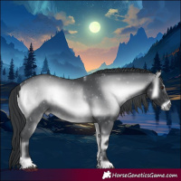 Horse Color:Platinum Blue Onyx Chinchilla 