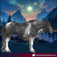 Horse Color:Black Tobiano 