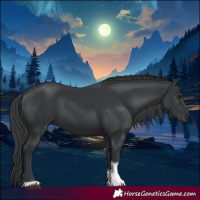 Horse Color:Black Tobiano 