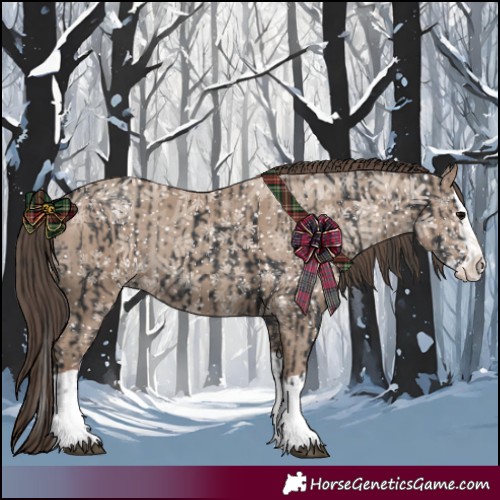 Horse Color:Black Splash  and Classic Champagne Splash 