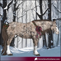 Horse Color:Black Splash and Classic Champagne Splash