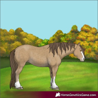 Horse Color:Classic Cream Champagne 