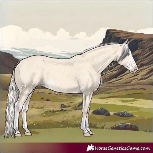Horse Color:Cremello Splash and Cremello Splash