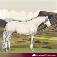 Horse Color:Cremello Splash  and Cremello Splash 