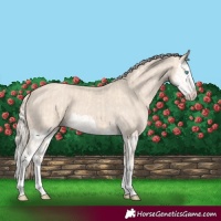 Horse Color:Cremello Splash and Smoky Creme Splash