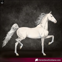 Horse Color:Cremello Splash Tobiano  and Cremello Splash Tobiano 