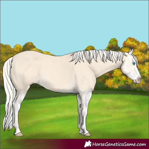 Horse Color:Cremello Splash  and Cremello Splash 